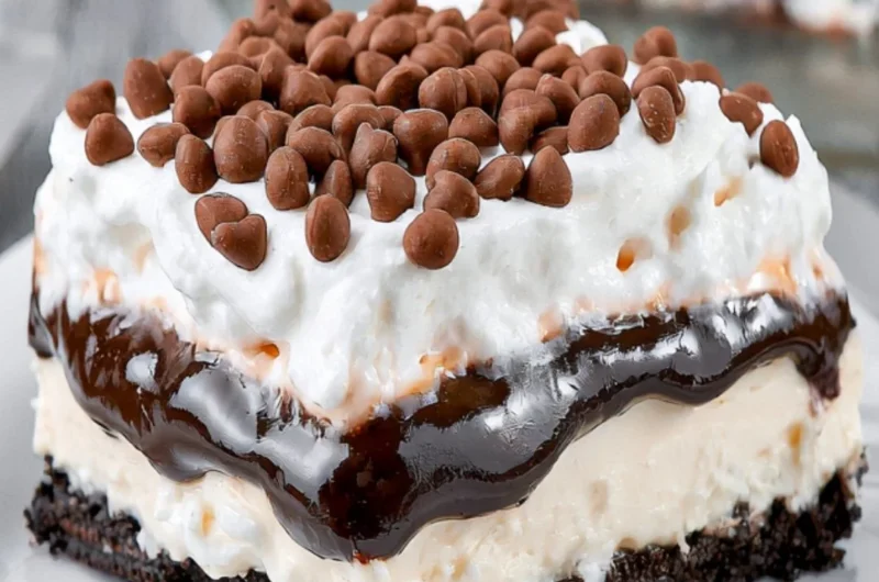 Delicious chocolate lasagna dessert with creamy layers and chocolate topping