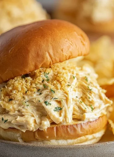 Cozy Ohio shredded chicken sandwich served with fresh toppings