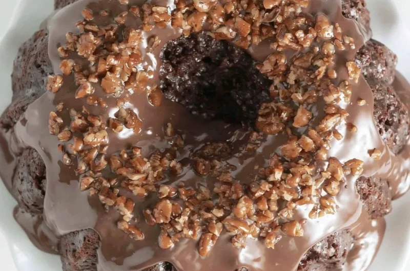 Texas Sheet Cake Bundt Cake showcasing a rich chocolate glaze and sprinkles.